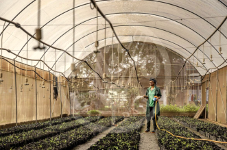 image 2025 09 19 111603747