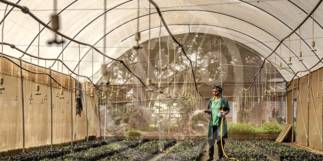 image 2025 09 19 111603747