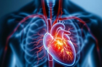 vis 0901202516053743