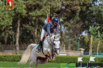 vis 0916202514550831