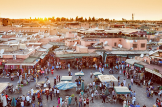 vis 1009202419595277 1