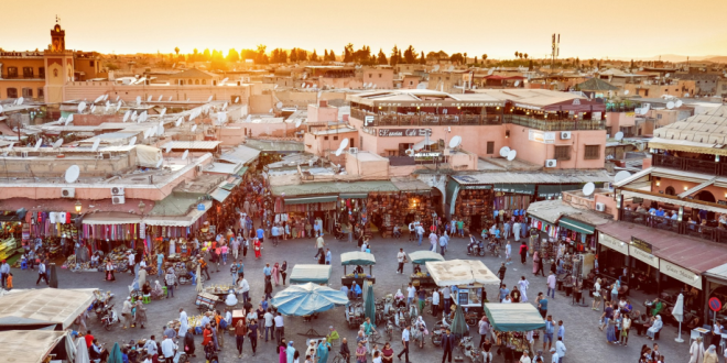 vis 1009202419595277 1