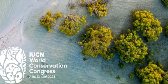 المؤتمر العالمي للحفاظ على الطبيعة من 09 إلى 15 أكتوبر المقبل بأبوظبي