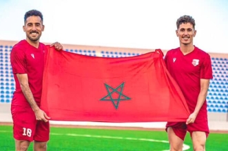 الويدان ومنالي