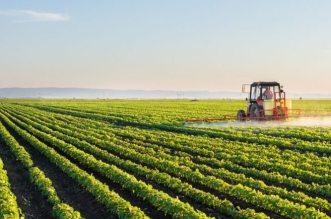 22 8 2023 19 10 43 GomhuriaOnline 231692720643