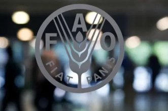 4dc72975 e25d 44f0 bfab 1b1a01af78e0 16x9 1200x676