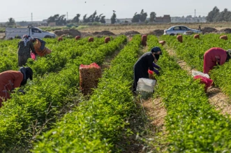 4f00abb0e717c634afdd640b6c294fdb5a3b8864