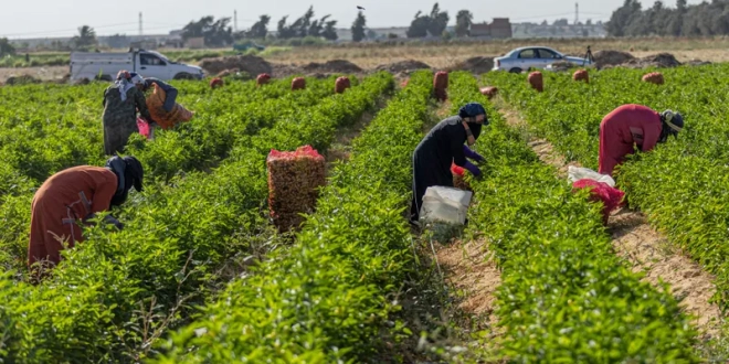 4f00abb0e717c634afdd640b6c294fdb5a3b8864