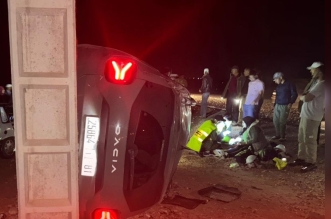 558628495 784069731213220 8139432190173094641 n