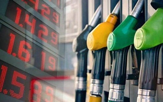 6431cf0edcb93 528x373 1