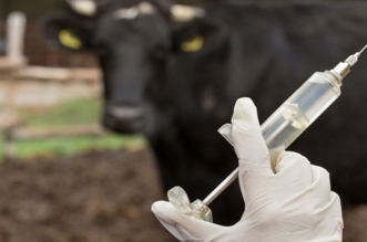 970x546 67533587809266753358780927