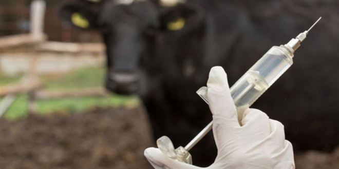 970x546 67533587809266753358780927