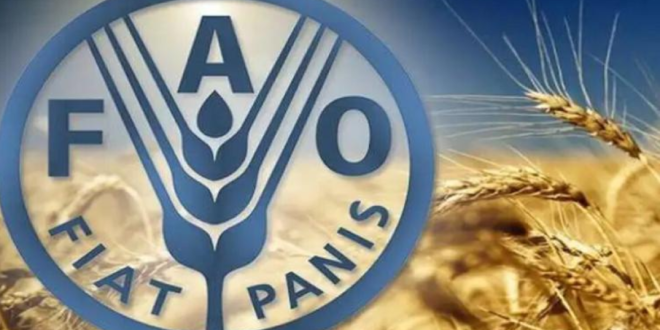 Capture decran 2025 10 17 125620