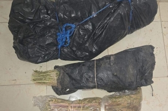 FB IMG 1761548934654