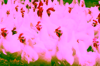 G3A7WHS7WZFUFK75DOXOMFU3ZA