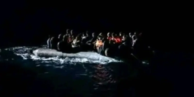 IMG 20251017 091355 800 x 500 pixel