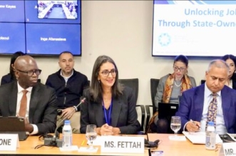 Nouveau projet248 508x300 1