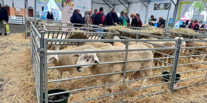 f39c641dbd104c67fa0242fbaa957fe7f96c0810