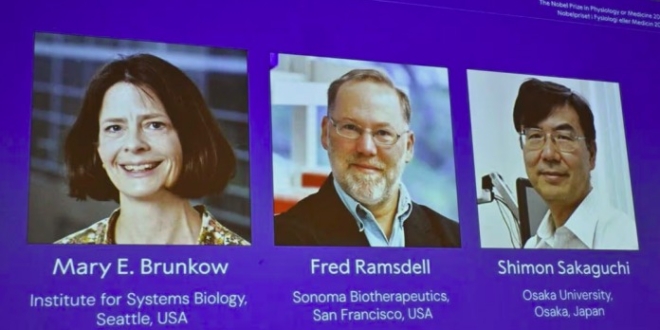 image 2025 10 06 152311826 696x353 1