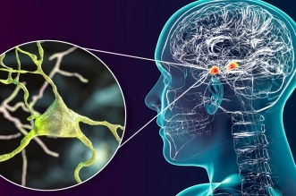 tbl articles article 30917 9766e026d73 9116 48b5 abd7 295a9121f50e