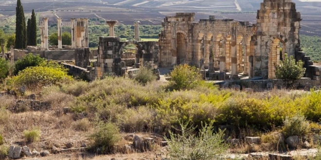 65a5033f39a01 1536x864.jpg