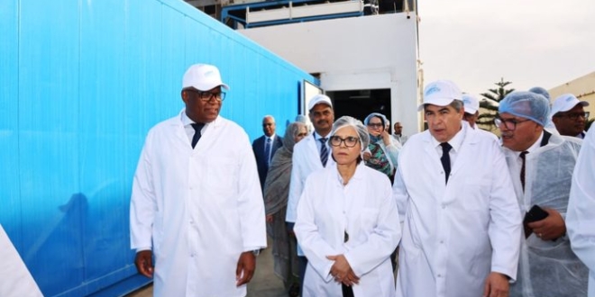 92725612 64945142 1 696x464 1