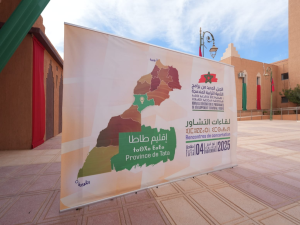 طاطا.. لقاء تشاوري لإطلاق الجيل الجديد من برامج التنمية الترابية المندمجة 2 Capture decran 2025 11 05 212837