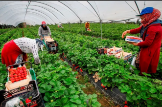 Capture decran 2025 11 06 144053