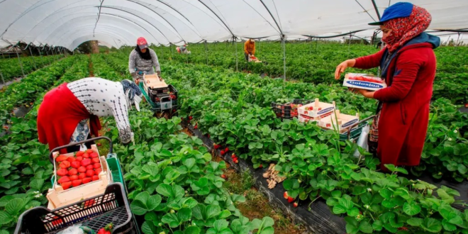 Capture decran 2025 11 06 144053