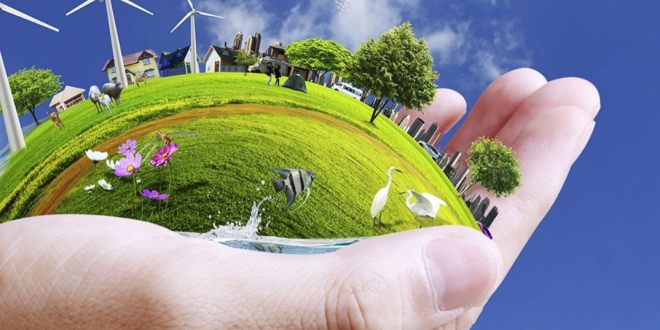 Capture decran 2025 11 20 125806