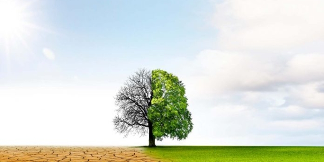 climate change 080522a 696x392 1