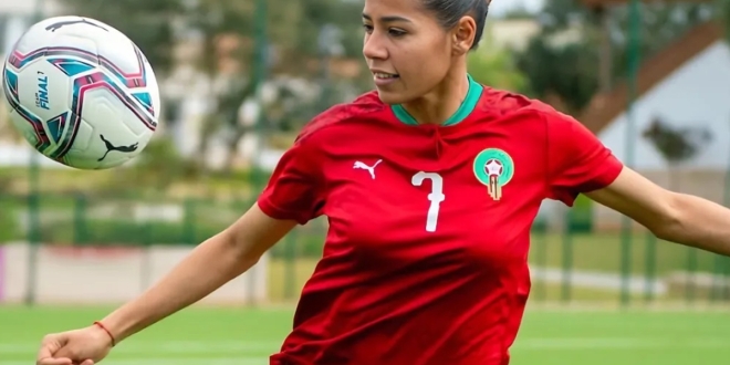 غزلان الشباك