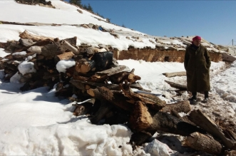 61dc7fdd9524d 768x432 1