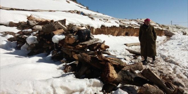 61dc7fdd9524d 768x432 1