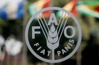 692ea358a4287 768x441 1