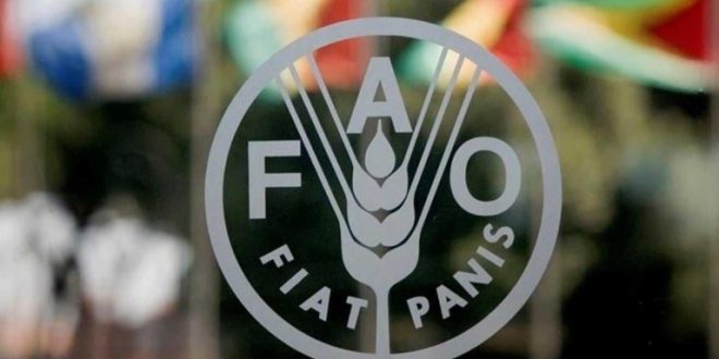 692ea358a4287 768x441 1