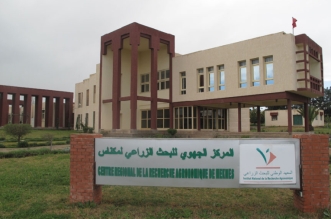 69304df3935a4 768x506 1