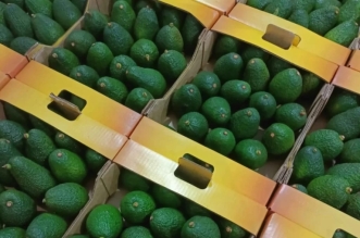 694b13e722726 768x534 1