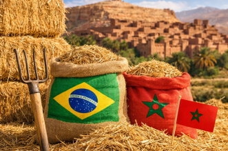 ChatGPT Image 25 dec. 2025 21 14 26