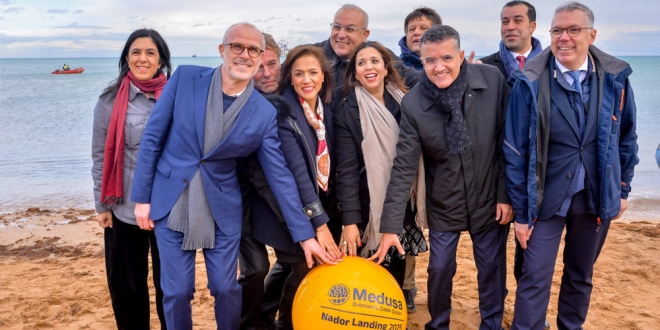 إنوي ميدوسا