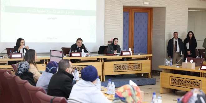 اللجنة المركزية المكلفة بتفعيل صندوق الدعم المخصص لتشجيع تمثيلية النساء