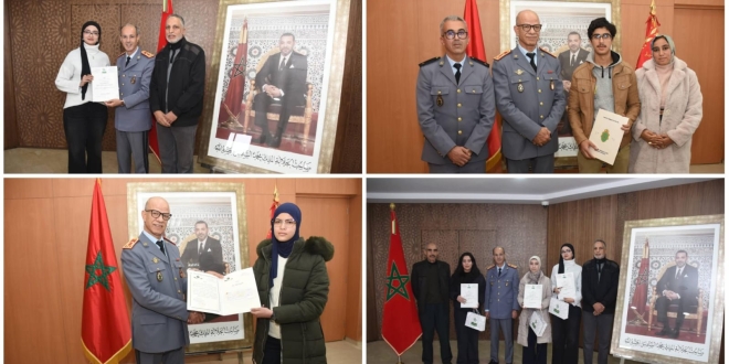 منحة التميز