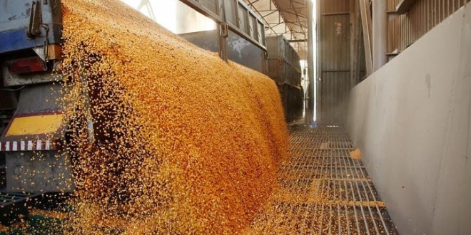 0448293e b346 4de1 9aa3 6a422b7f8da1 16x9 1200x676