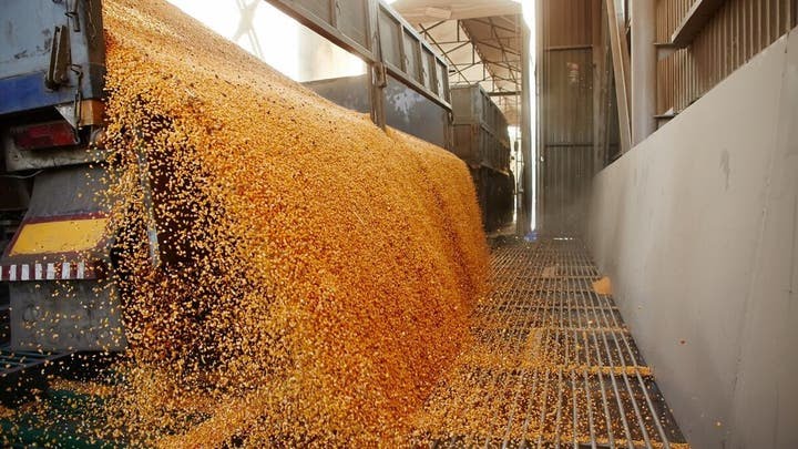 الحكومة تمدد دعم استيراد القمح اللين إلى نهاية أبريل لضمان تزويد السوق الوطنية 1 0448293e b346 4de1 9aa3