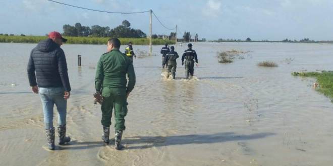 Capture decran 2026 01 31 134843