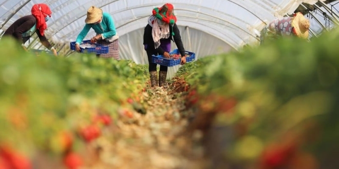 fraise employees 800 1