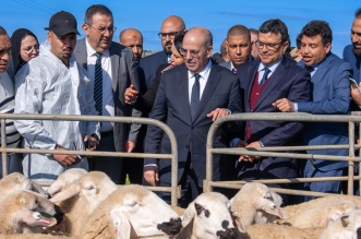 البواري الرحامنة