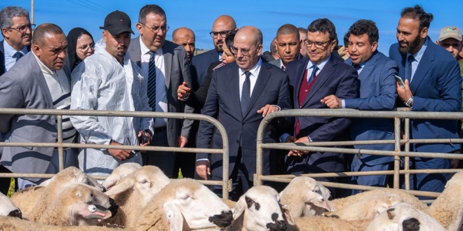 البواري الرحامنة