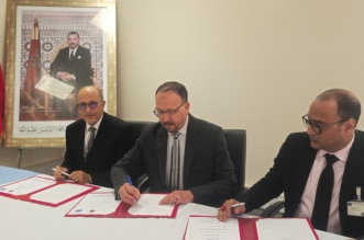 مشتلة الجديدة 2