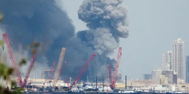 AADE9798 86F4 4688 BD7C F9DDDD24A4FF